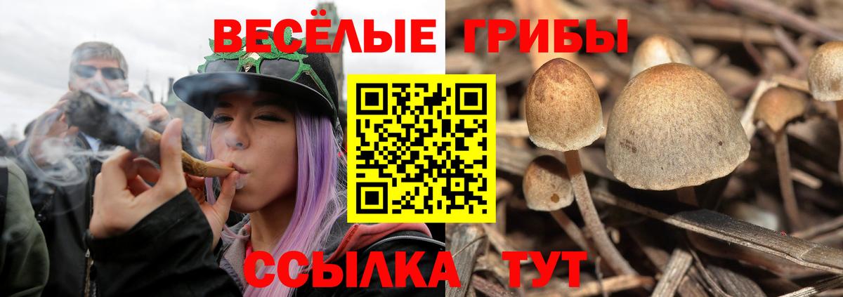 Галлюциногенные грибы Cubensis  Галлюциногенные грибы Magic Shrooms  Новодвинск  Вход с VPN 